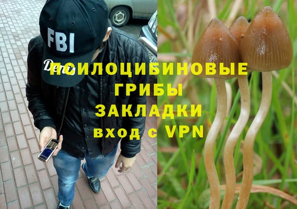 spice Абинск