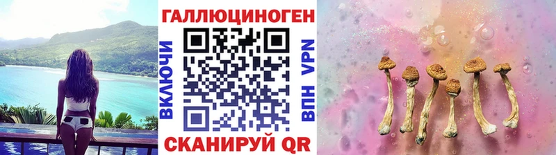 Псилоцибиновые грибы Psilocybe  Кызыл 